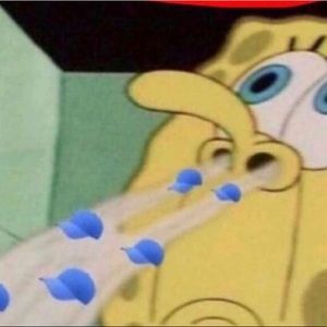 Meet your Posher, Logan